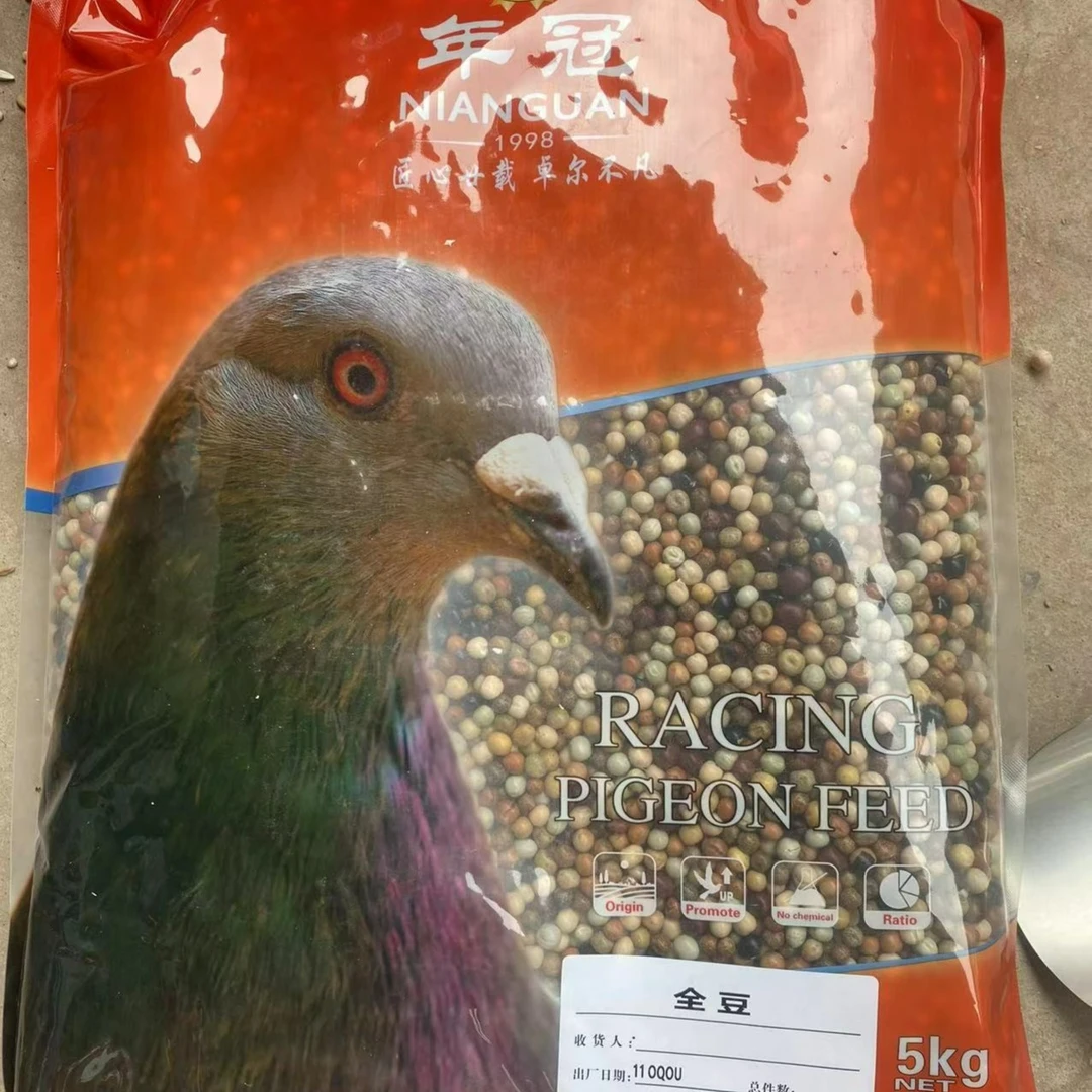 年冠赛鸽全豆鸽粮