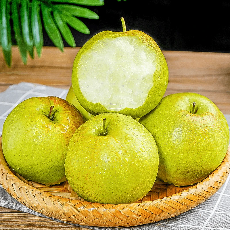 正宗山西玉露香梨特大果原产地直发皮薄爽口感汁多脆香甜稀有品质