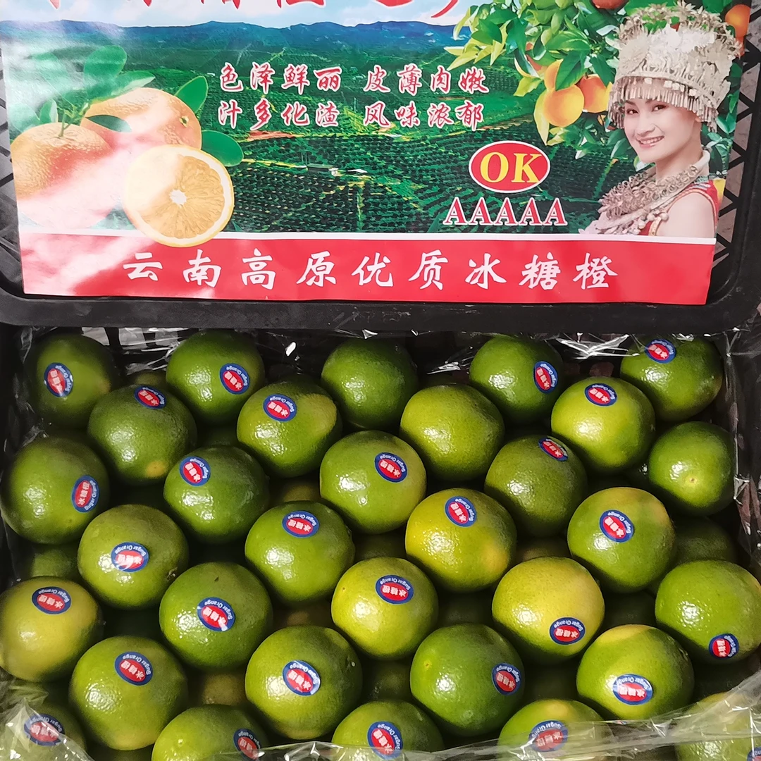 云南哀牢山纯甜无酸冰糖橙（500g）