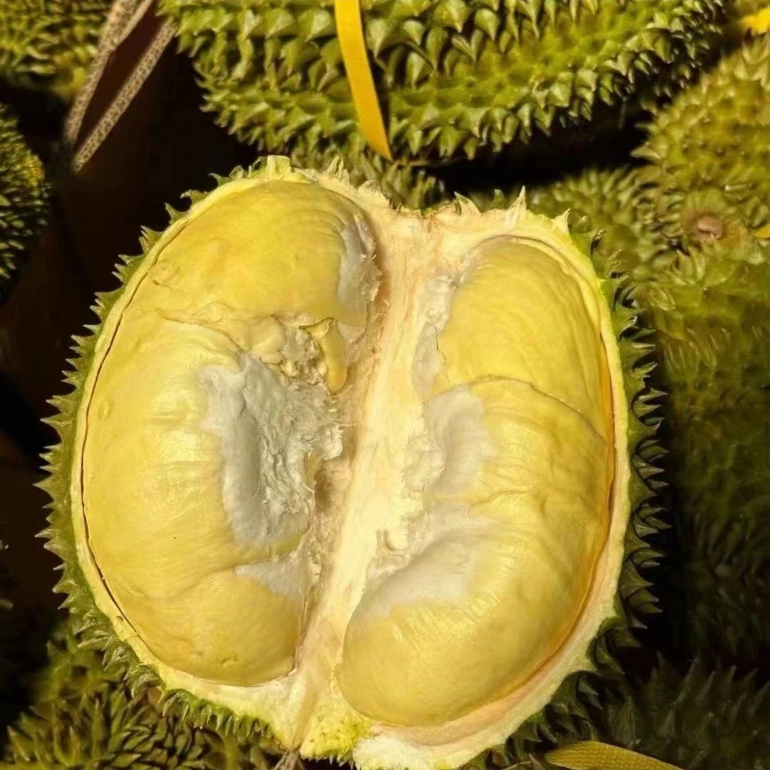 正宗泰国金枕树熟榴莲干包（一物一拍）