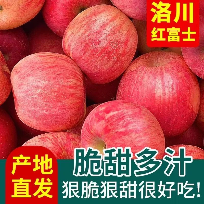 【买3斤送2斤】洛川苹果红富士装精品自产陕西特产水果脆甜多汁礼