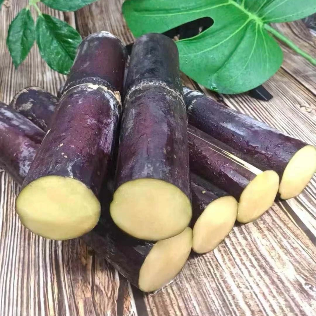 【坏果包赔】广西黑皮甘蔗 脆甜多汁 新鲜应季水果 5斤