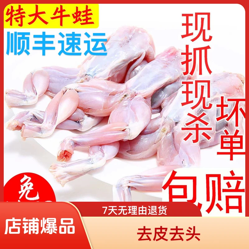 新鲜特大牛蛙美蛙牛蛙腿生鲜去头田鸡肉火锅烧烤食材嫩滑美味