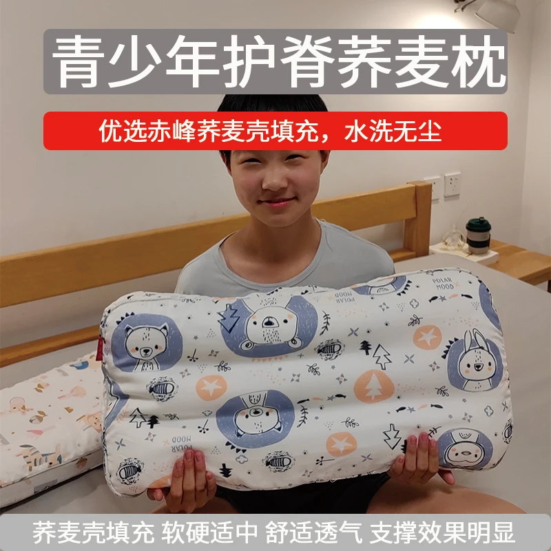 青少年儿童学生荞麦枕护脊护颈赤峰无尘荞麦壳有支撑干爽透气纱布