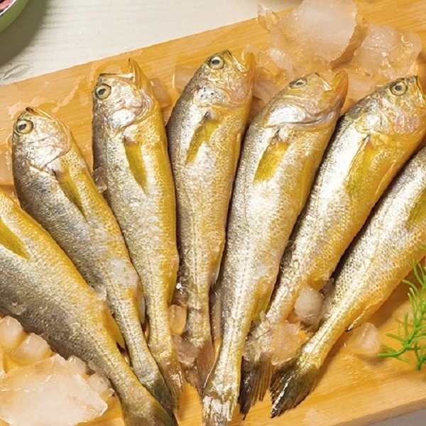 【直播链接】野生小黄花鱼500g/包新鲜海捕小黄鱼冷冻生鲜五斤海鲜