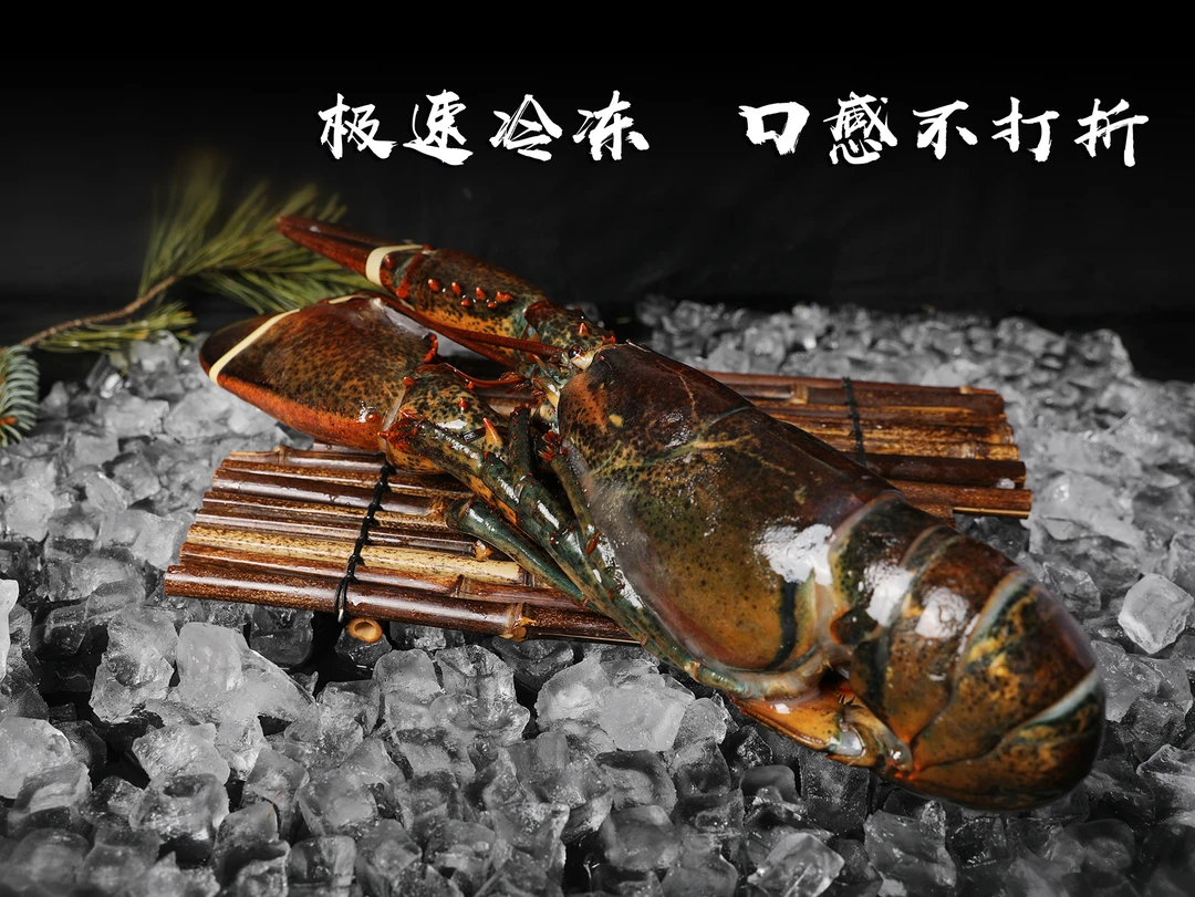 【二狗专属】波士顿大龙虾 保鲜液氮冷冻 锁鲜锁肥