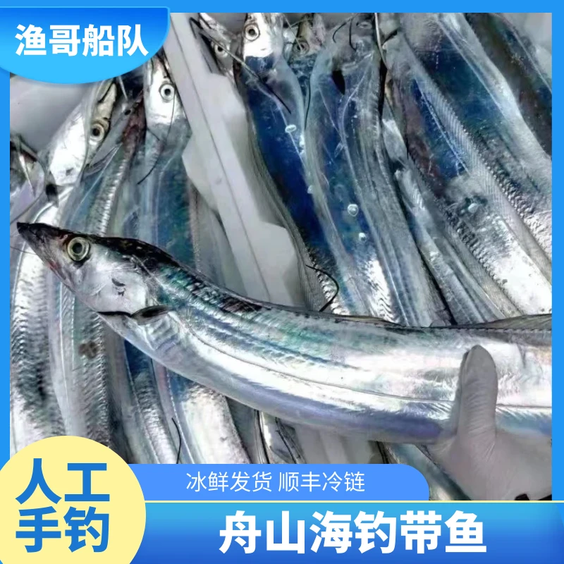 【船冻带鱼】舟山严选非冷冻钓带鱼肉厚鲜嫩肉质新鲜甄选刀鱼拍三斤