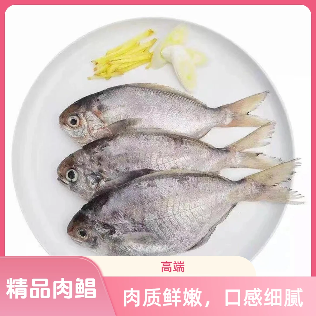 【二小姐的生鲜铺】本港野生肉鲳肉嫩无小刺