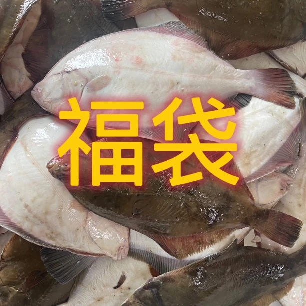 大连本地野生海杂鱼