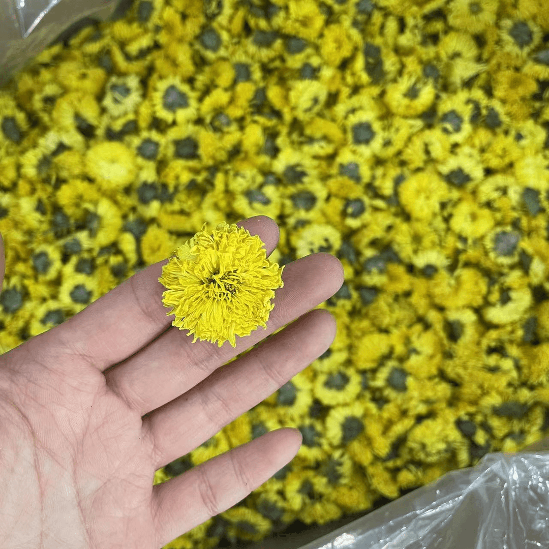皇菊一份