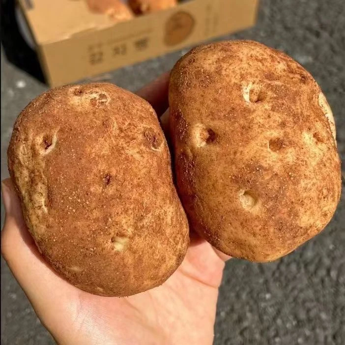 【8包】土豆面包黄油芝士味夹心面包手撕面包学生早餐充饥零食整箱