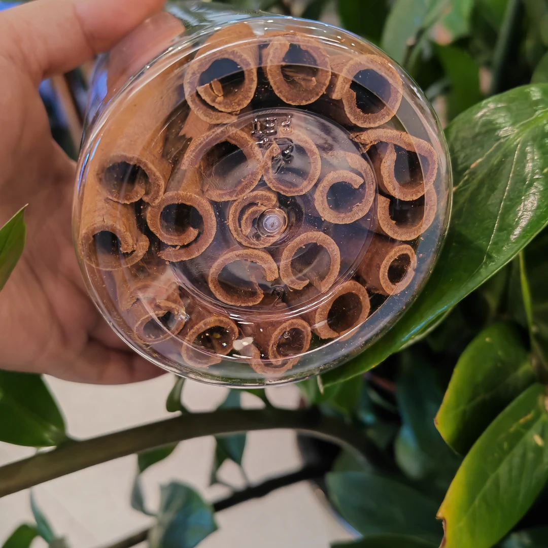 满油紫油桂桂皮油桂肉桂烟仔桂精品广西高油桂皮卤肉泡水喝