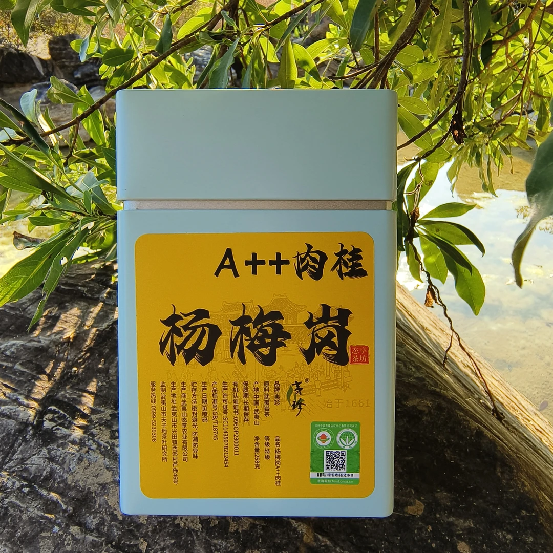 有机茶【杨梅岗】高山肉桂 258克 武夷岩茶