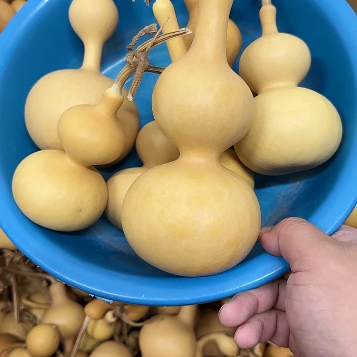 小*乐八宝葫芦一组活动