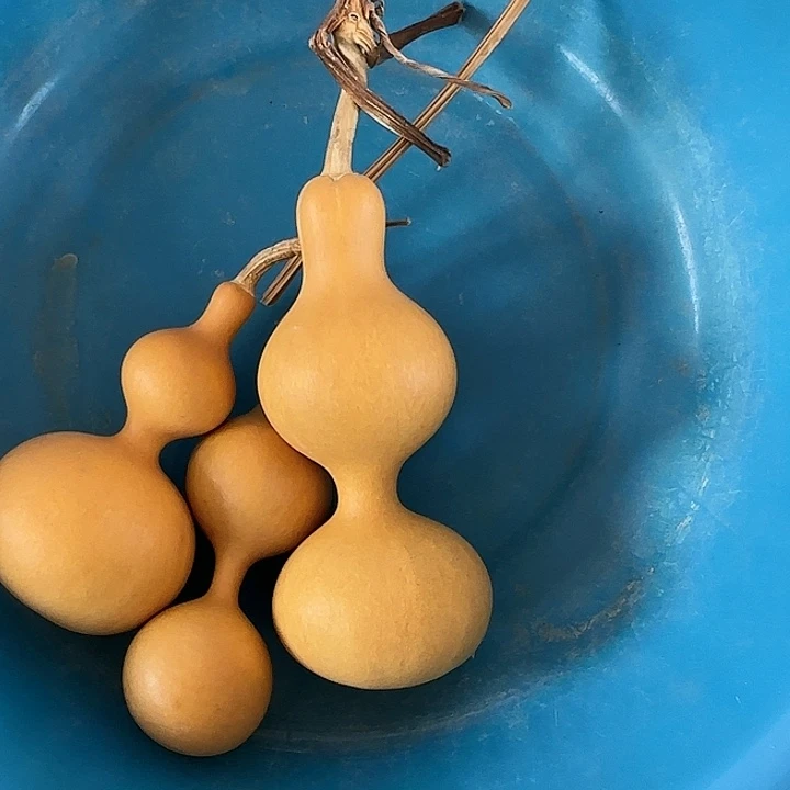 舢**憶葫芦组合活动一组