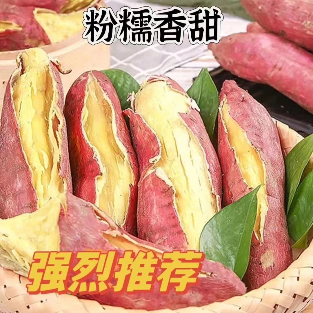 陕西板栗红薯干面粉香甜5斤烤地瓜板栗红薯烟蜜薯粗粮农产品甘甜