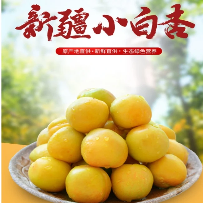 【顺丰空运】新疆直发正宗新疆轮台小白杏3斤 (鲜果)