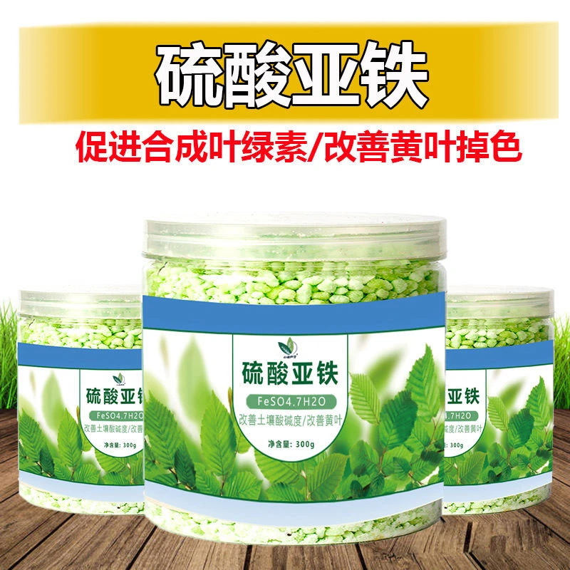 【硫酸亚铁】调节土壤家用花肥料喜酸植物米兰栀子茉莉杜鹃防黄叶