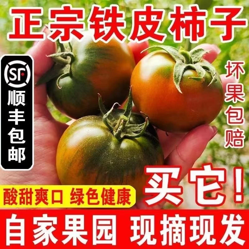 【顺丰送货上门】正宗丹东新鲜铁皮柿子草莓柿子酸甜油柿子番茄