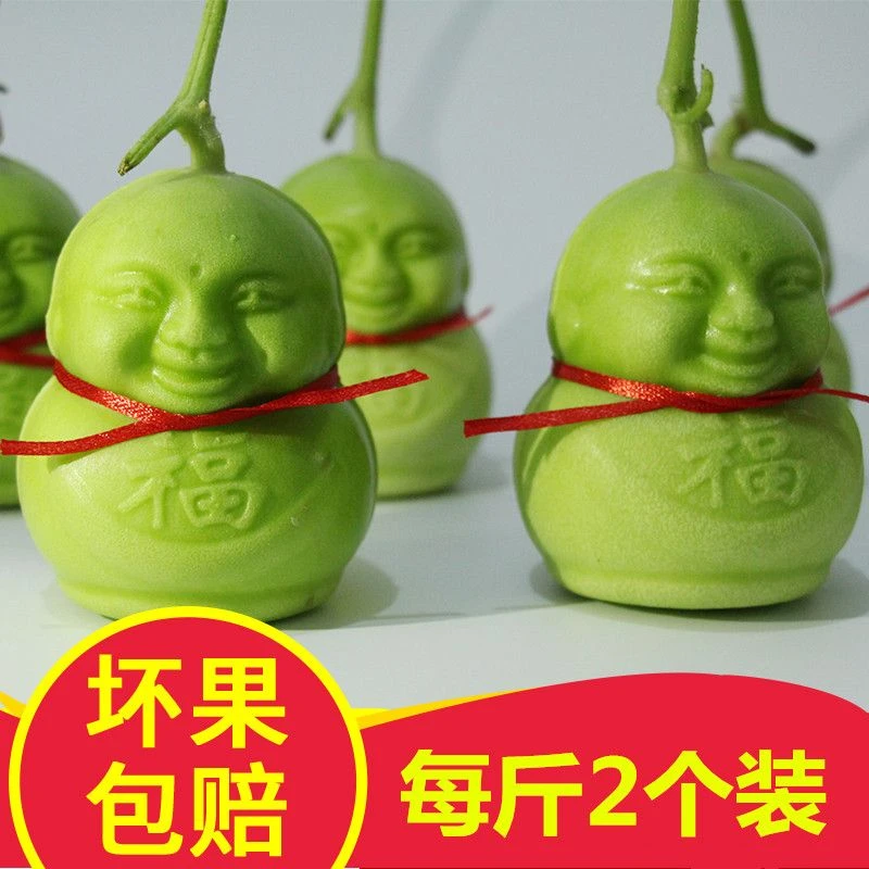 人参果福娃人参果娃娃甜瓜香瓜创意礼品非云南多规格带福字果包邮