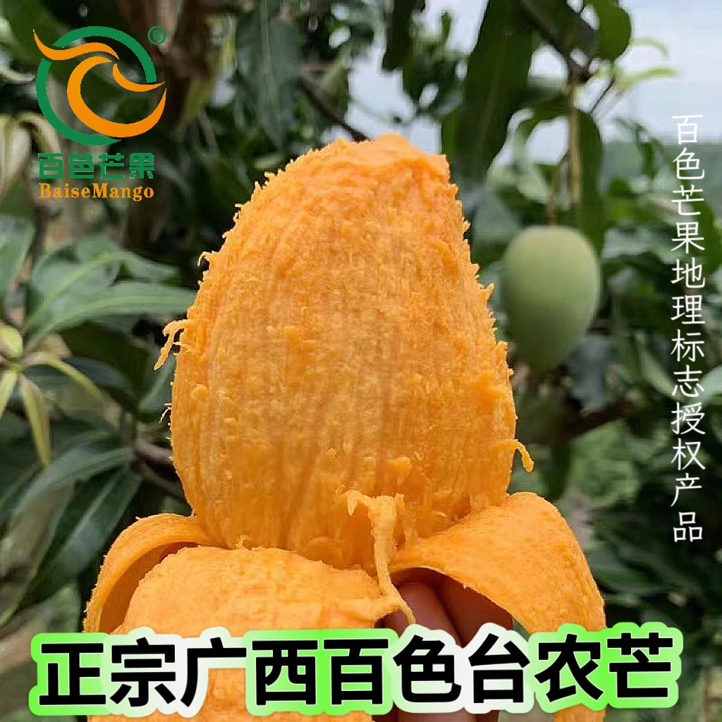 正宗百色芒果精品一级果大台芒新鲜应季水果整箱净果9斤包邮香甜