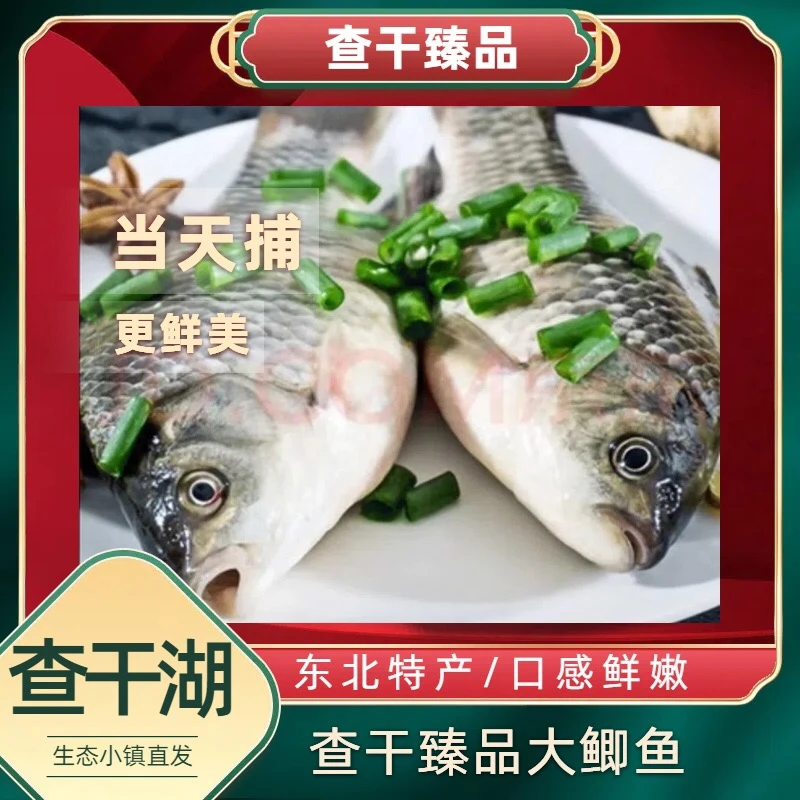 【查干臻品】大鲫鱼礼盒查干小镇冬捕野生大鲫鱼胖头鱼