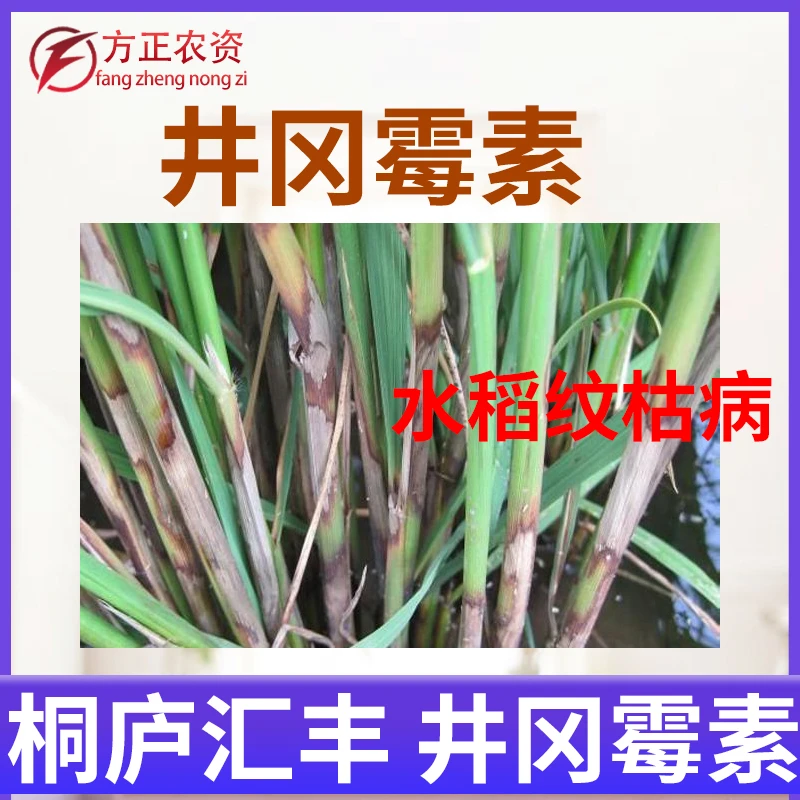 浙江桐庐 井冈毒素井冈霉素井岗霉素纹枯病水稻杀菌剂