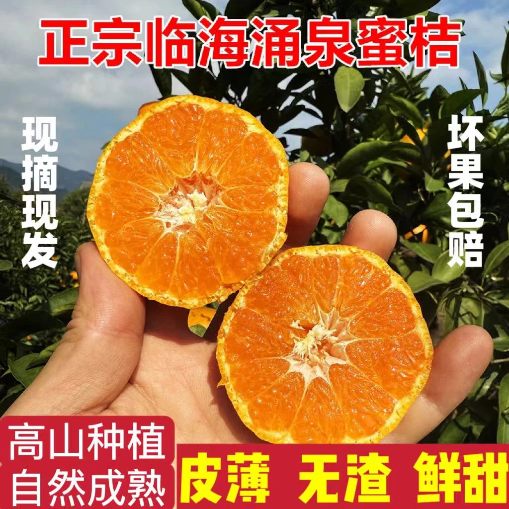 涌泉蜜桔正宗浙江临海高山当季新鲜水果宫川无核薄皮橘子桔子