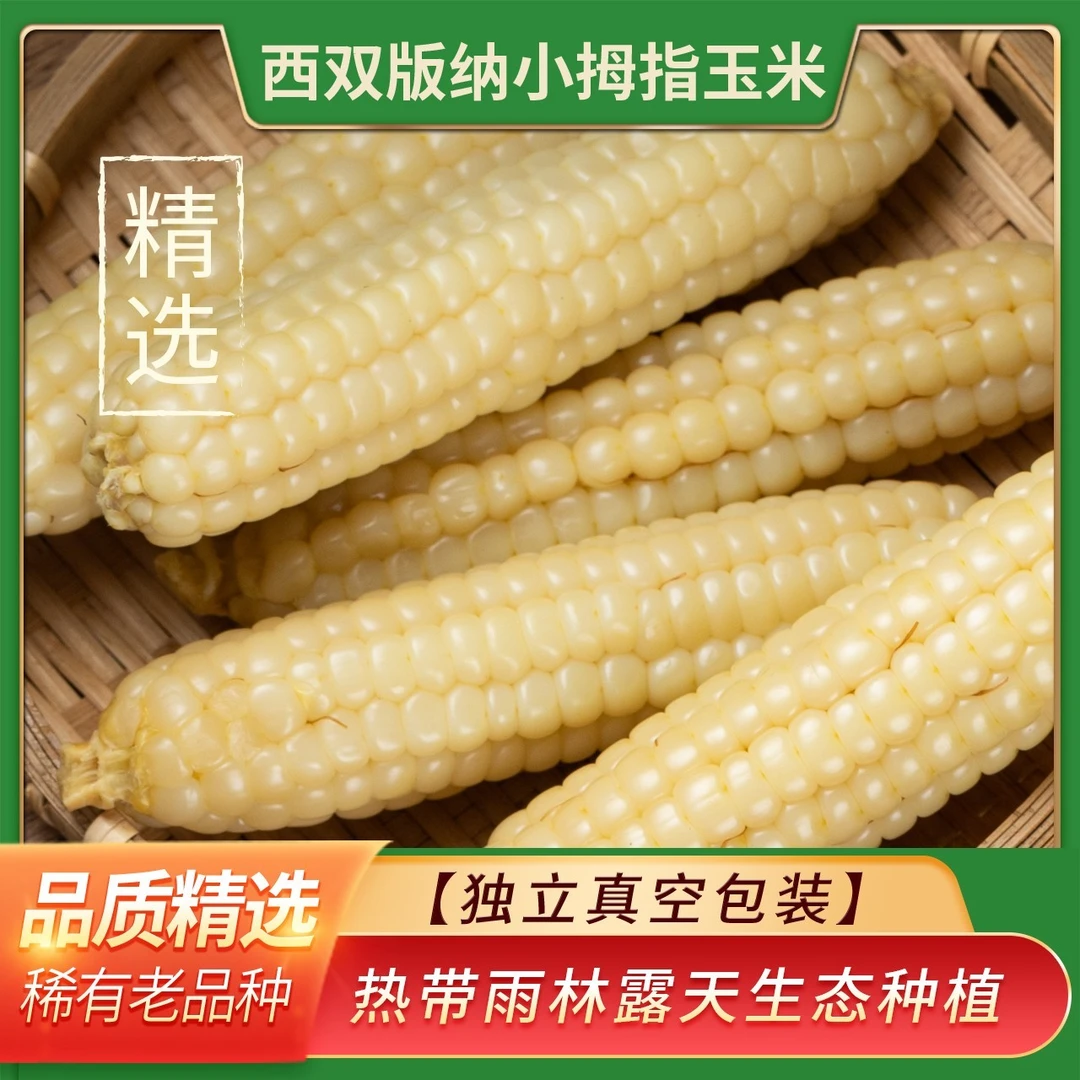 傣小糯西双版纳拇指小玉米2斤 真空锁鲜基地直采蒸煮宝宝零食粗粮