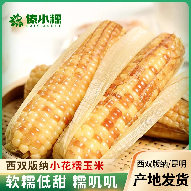 西双版纳2025年新鲜花糯小玉米真空包装糯玉米代餐香糯即食营养