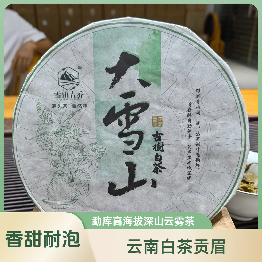 【大雪山200克手撕饼白茶】勐库高海拔深山云雾普洱茶耐泡香甜活性