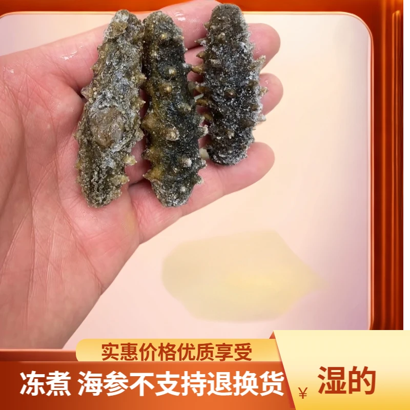 【媛媛推荐】冻煮海参，青岛发货