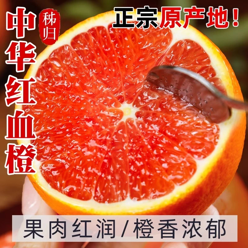 正宗湖北秭归血橙中华红橙新鲜橙子水果整箱红心肉甜橙手剥果冻橙
