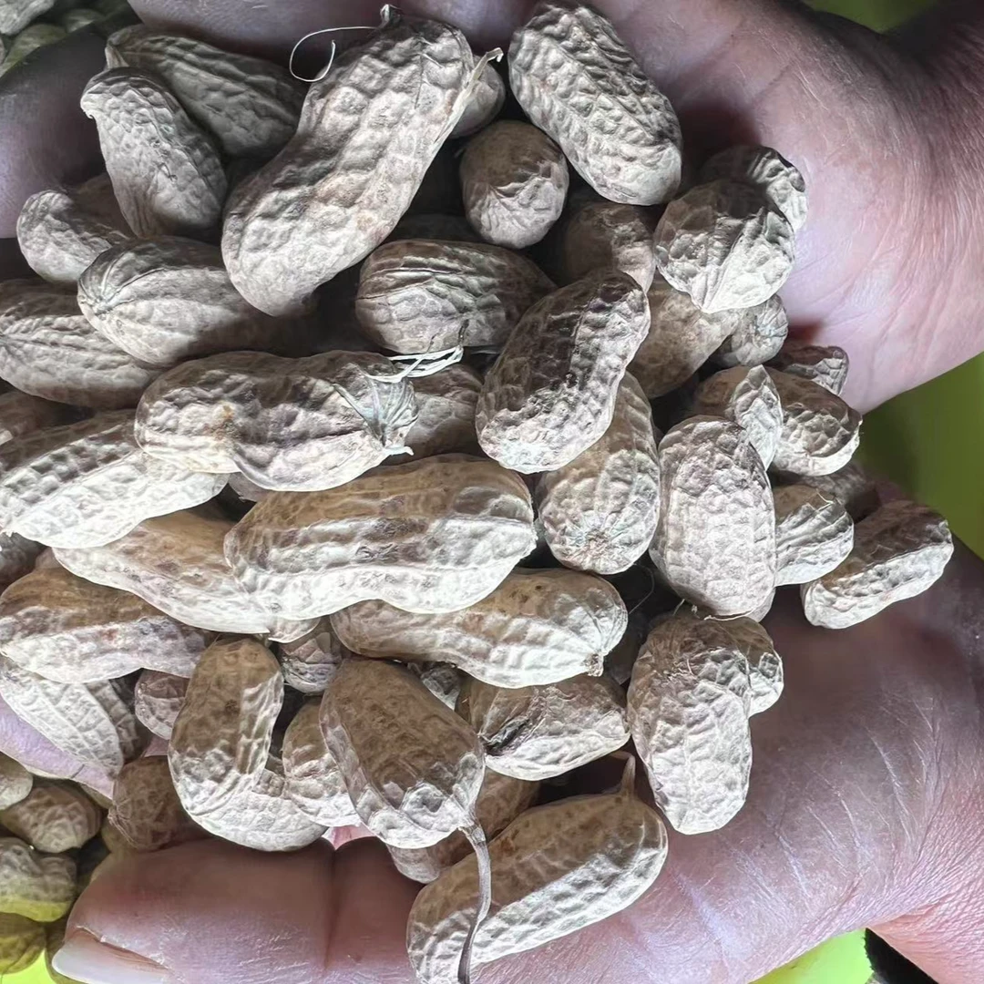 花生农家自种植花生米自然晾晒带壳生花生农产品花生豆鲜花生