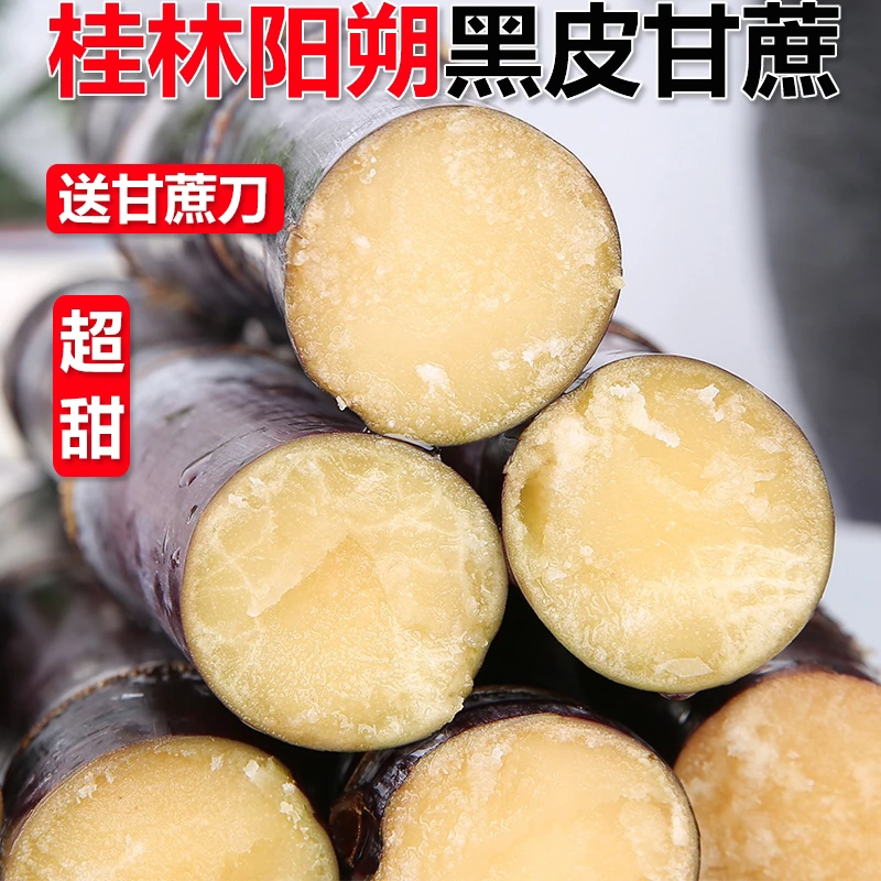 【包甜】广西阳朔黑皮甘蔗当季新鲜水果脆甜多汁甜杆果蔗整箱包邮