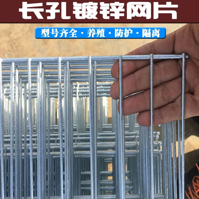5*10厘米孔 狗笼围网 圈猪牛羊 护栏网 5片起拍 尺寸可选