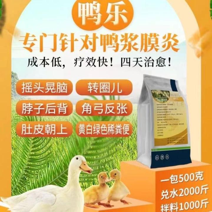 【鸭乐】鸭鹅浆膜炎包心包干