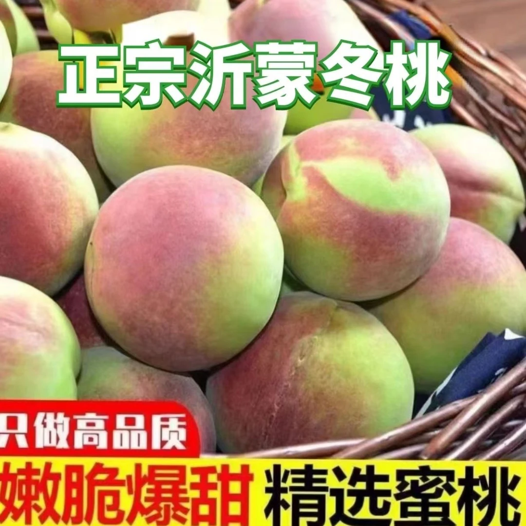 正宗冬桃山东青州蜜桃子新鲜水果非水蜜桃毛桃新鲜发货当季小型果