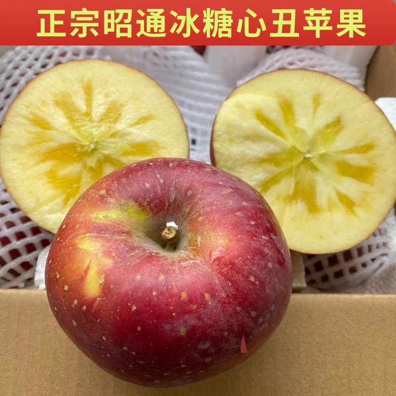 当季现摘云南昭通农家冰糖心丑苹果香甜脆新鲜水果红富士3-5-10斤