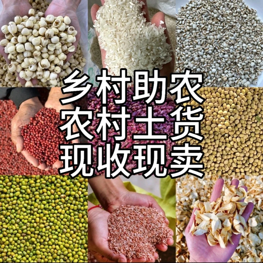 梅干菜 代卖 乡镇赶集 现收现场称重