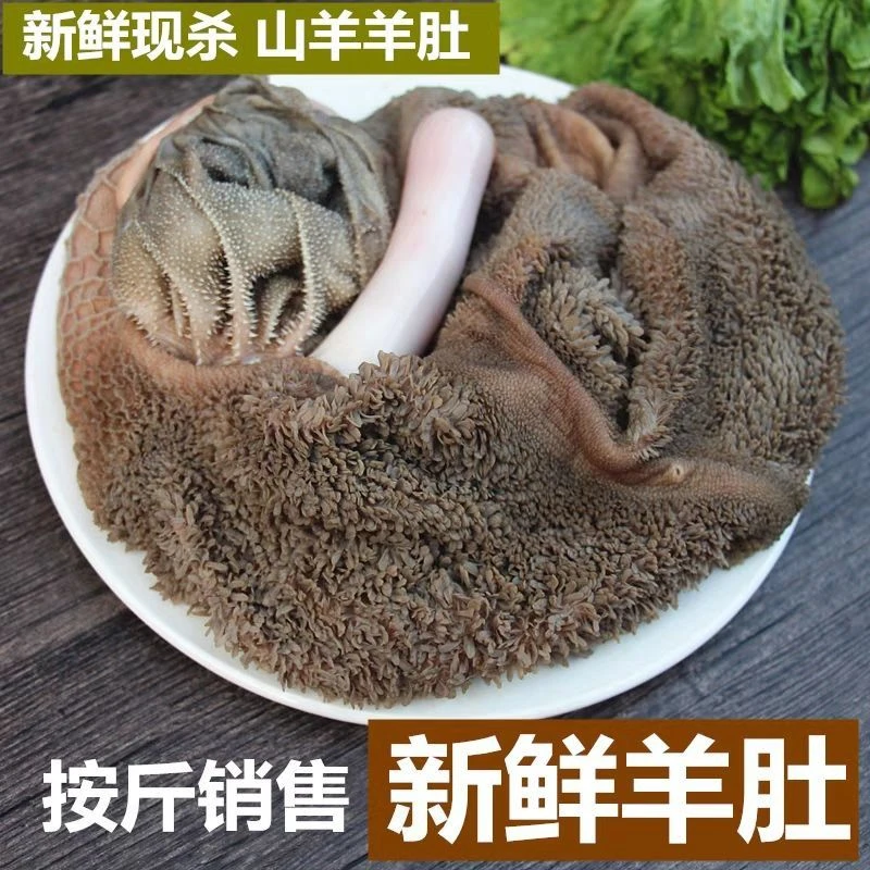 鲜羊肚 约500g（需自行处理去腥）