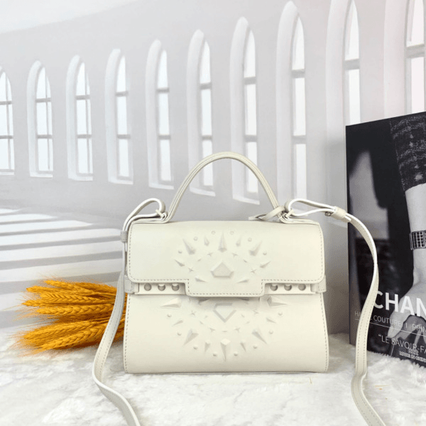 95新/德尔沃/妃鱼/橙子精选/箱包/市场价40000/240717CZ0016