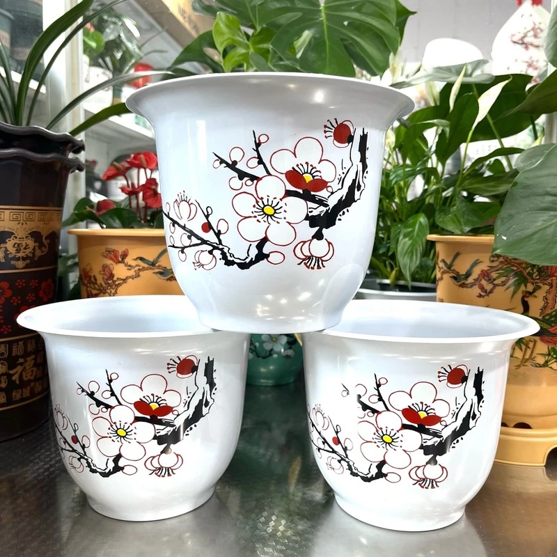 230#白梅花3个带托盘（直径22.5厘米，高度17.5厘米）