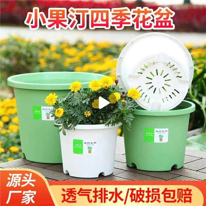 210# 白色 小果丁花盆 送托盘(口经20.5高17cm)