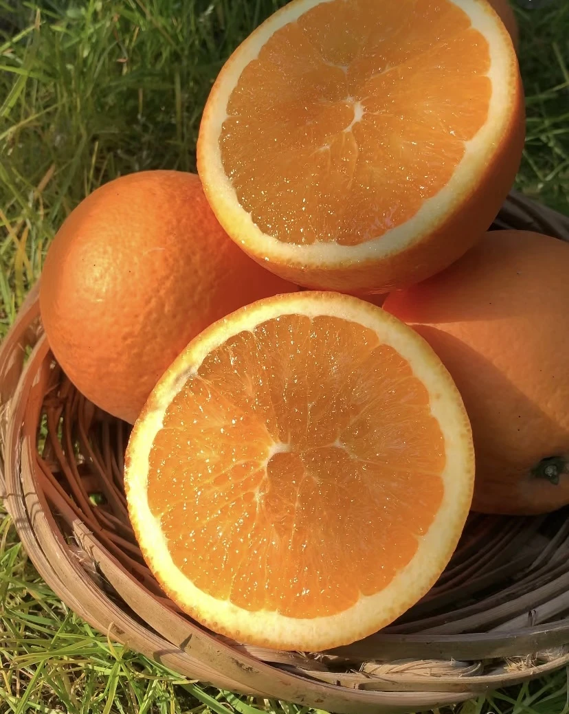 【正宗赣南脐橙】福利果，外表皮有瑕疵，新鲜现发酸甜可口