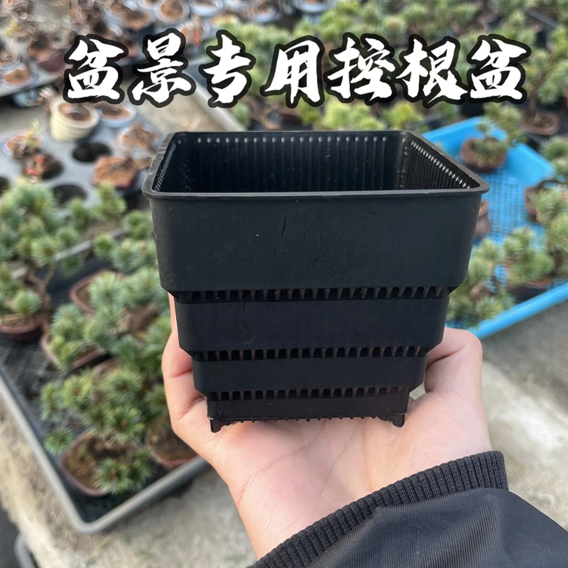 盆景专用控根盆透水透气塑料培育盆小盆景专用基地自用养护盆
