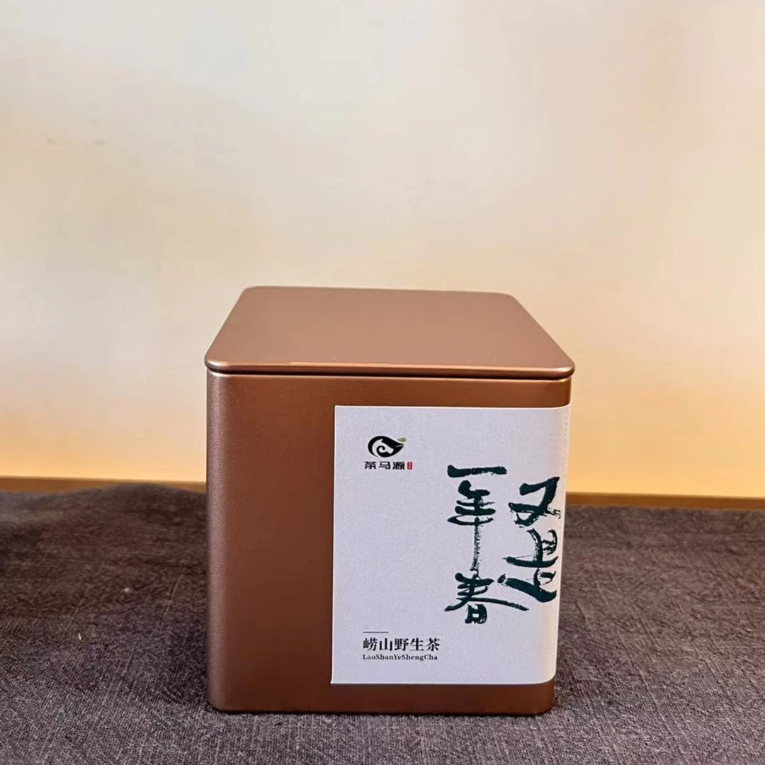 崂山野生茶甘枣叶芊罗茶