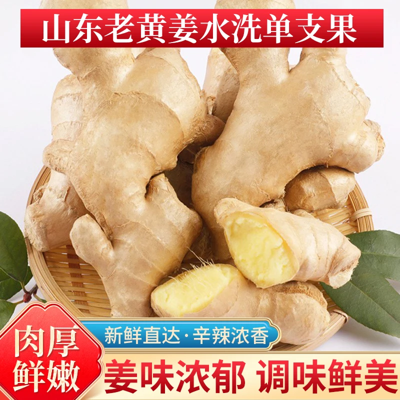 山东老黄姜水洗单支果无硫熏新鲜现挖浓郁生姜生态食用生姜老姜