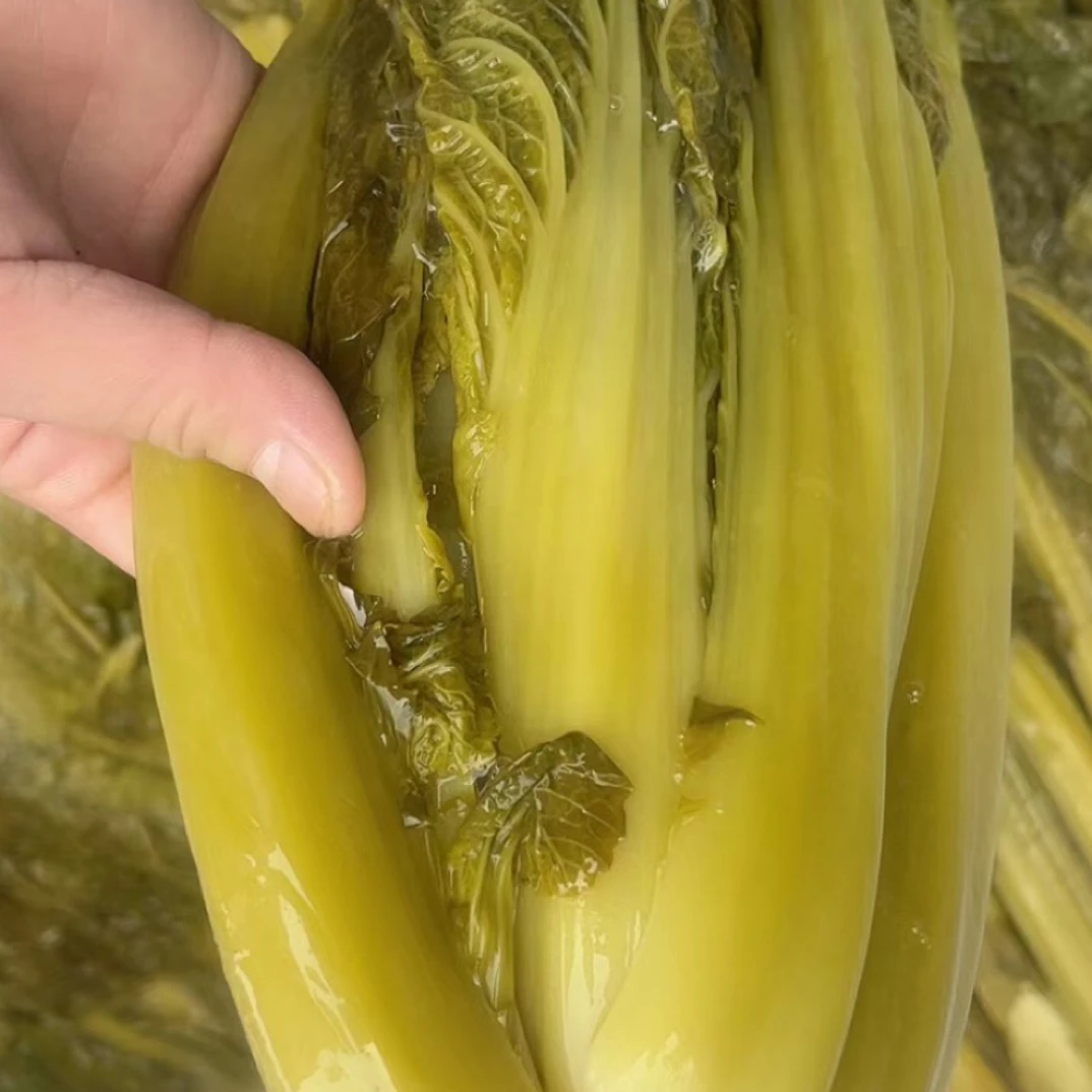 【五妹】云南正宗新鲜青菜手工泡制凉拌脆爽无盐酸菜下饭菜偏远地区