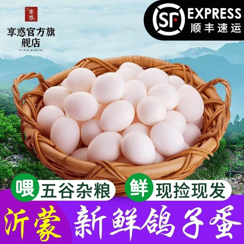 【农家散养鸽子蛋】新鲜鸽蛋杂粮喂养健康营养孕妇宝宝辅食顺丰包邮